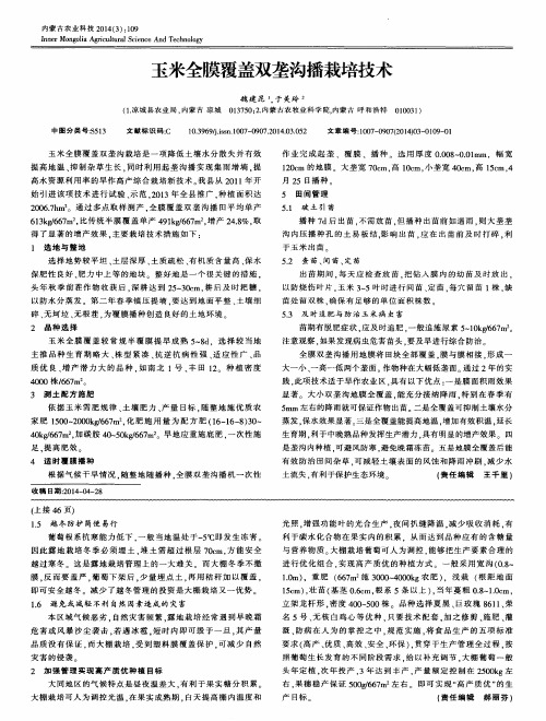 玉米全膜覆盖双垄沟播栽培技术