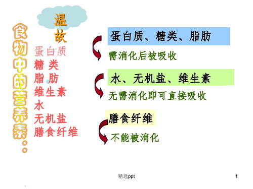 食物的消化与吸收[60张PPT