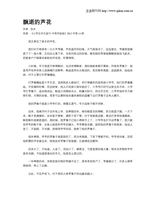 飘逝的芦花