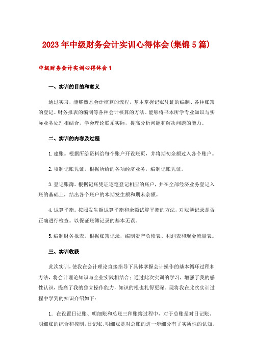 2023年中级财务会计实训心得体会(集锦5篇)