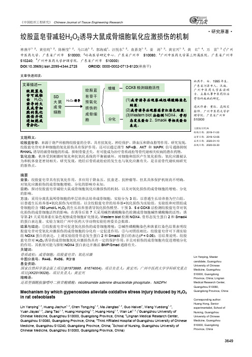 绞股蓝皂苷减轻H2O2诱导大鼠成骨细胞氧化应激损伤的机制
