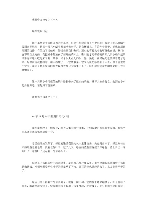 观察作文400字15篇