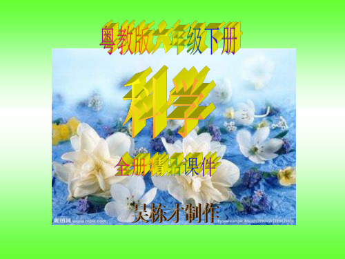 粤教版六年级下册科学全册精品课件