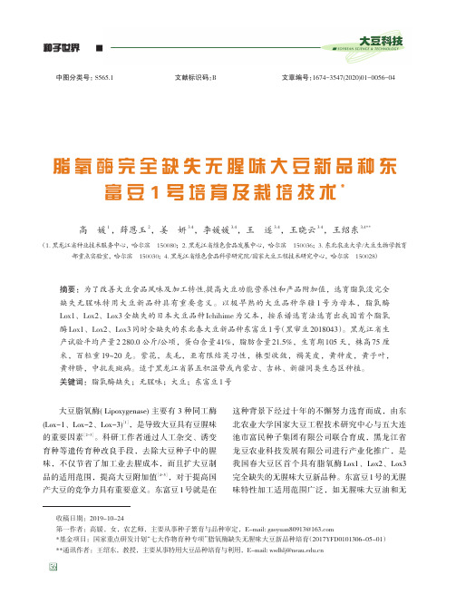 脂氧酶完全缺失无腥味大豆新品种东富豆1号培育及栽培技术