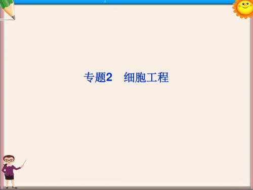 高考生物一轮复习 专题2 细胞工程课件 新人教版选修3