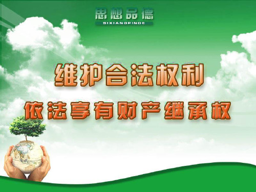 财产继承权及财务管理知识分析规划.pptx