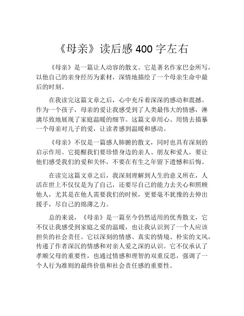 《母亲》读后感400字左右