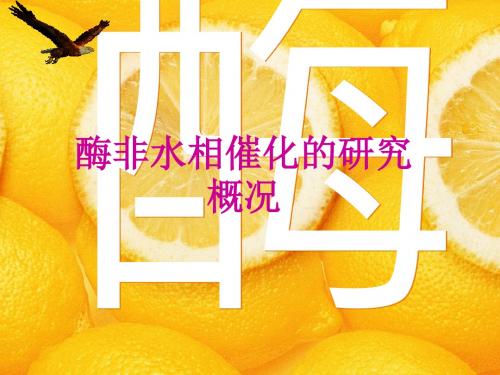 非水相催化 生物技术
