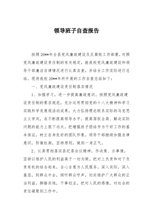 领导班子自查报告
