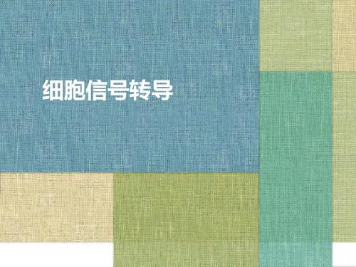 细胞信号转导