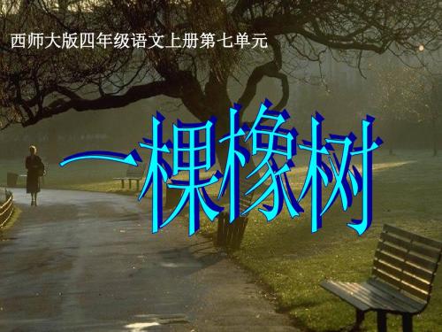《一棵橡树》PPT课件2