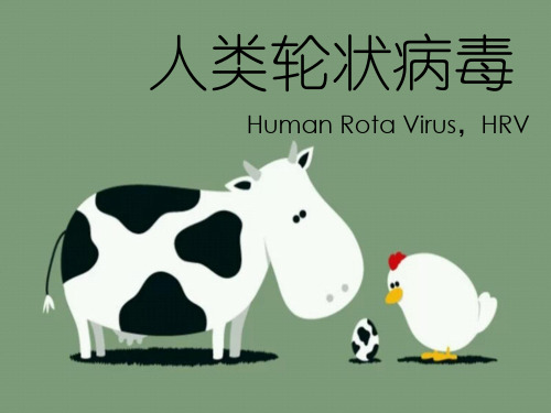 人类轮状病毒