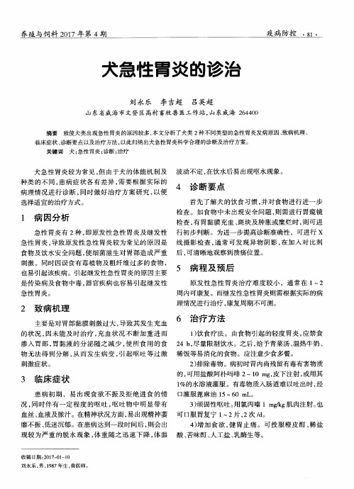 犬急性胃炎的诊治