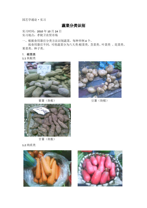 蔬菜分类识别