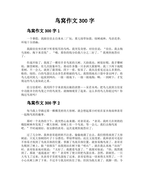 鸟窝作文300字
