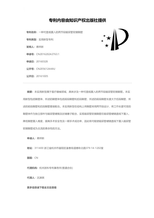 一种可直视置入的两节段输尿管软镜鞘管[实用新型专利]