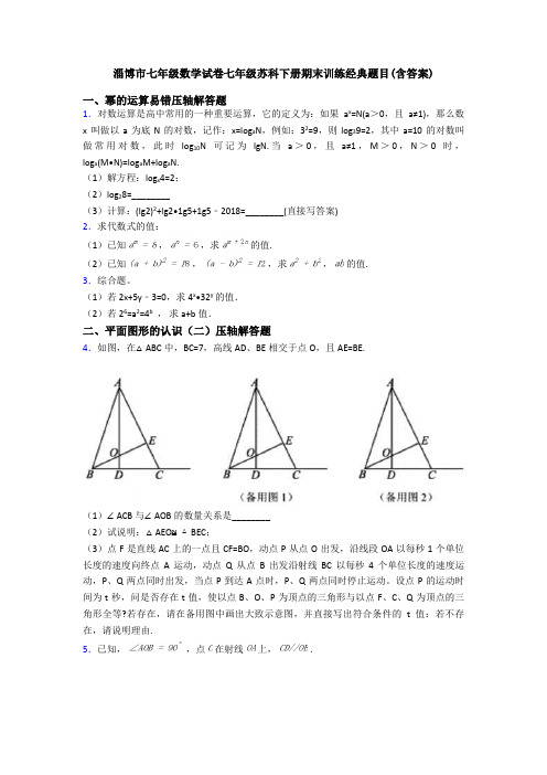 淄博市七年级数学试卷七年级苏科下册期末训练经典题目(含答案)