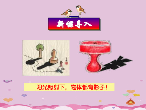 人教A版高中数学选修4-1 第一讲  四 直角三角形的射影定理 课件(共16张PPT)优质课件PPT
