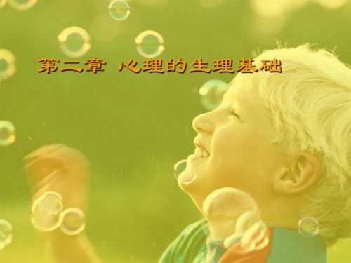 第二章 心理的生理基础 心理学课件
