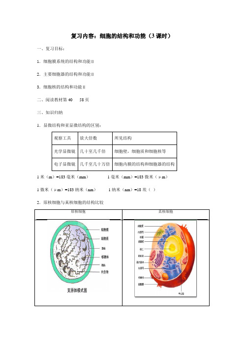 (最新)高三生物复习高效学案《细胞的结构和功能》