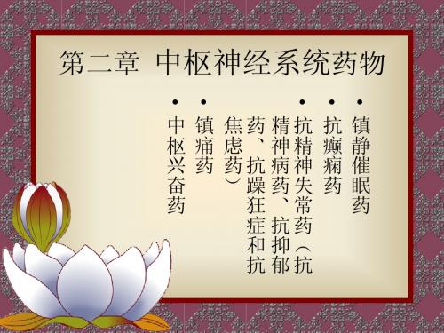 第二章  中枢神经系统药物