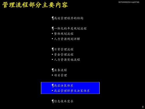 麦肯锡-《上海环保集团---高层管理职责及决策体系》