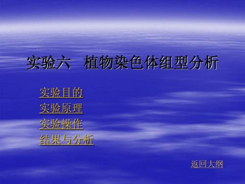 实验六  植物染色体组型分析