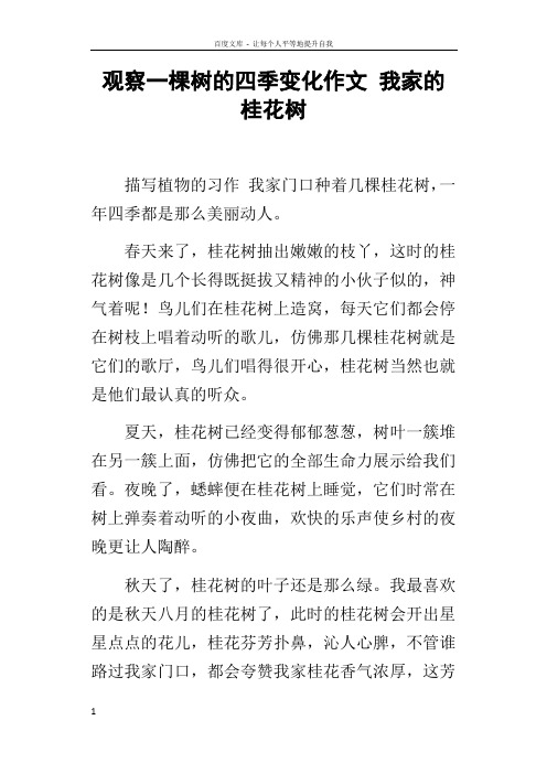 观察一棵树的四季变化作文我家的桂花树