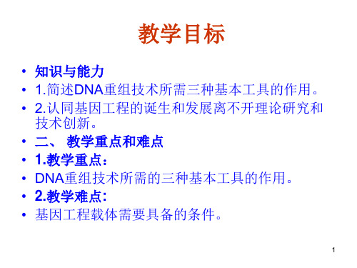 基因工程的基本原理和技术ppt课件