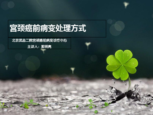 宫颈癌前病变处理方式图文优选PPT