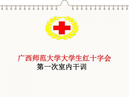 大学生红十字会室内干训活动10