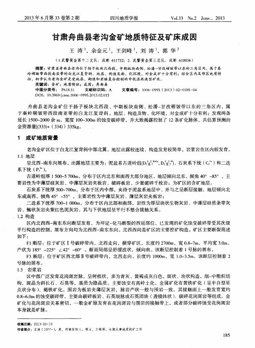 甘肃舟曲县老沟金矿地质特征及矿床成因