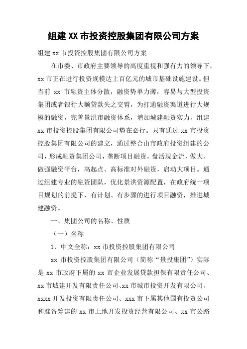 组建XX市投资控股集团有限公司方案