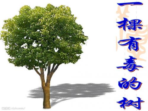 一棵有毒的树_期中作文