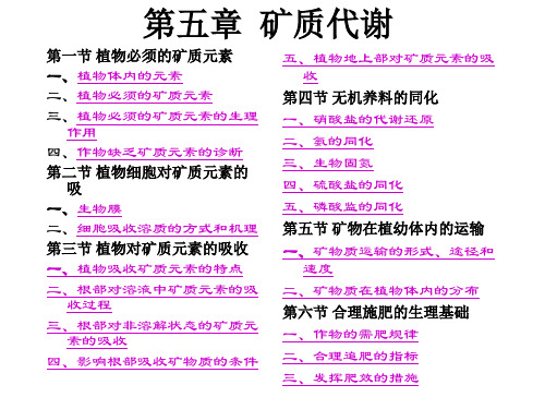 第四节矿质代谢