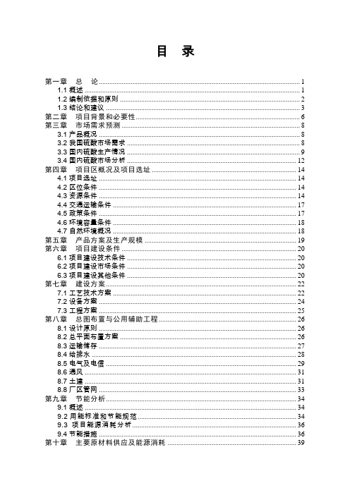 年产20万吨硫铁矿制硫酸项目可行性研究报告