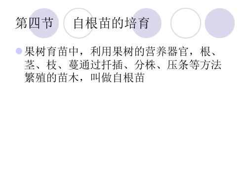 第三章  第四节 自根苗培育