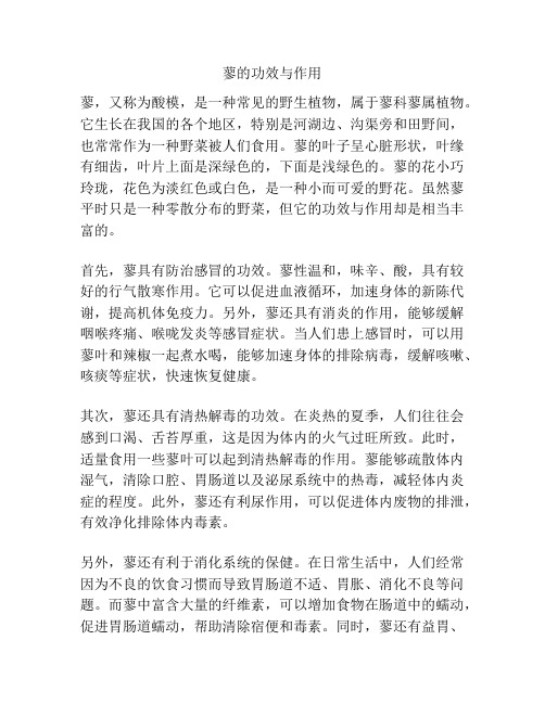 蓼的功效与作用