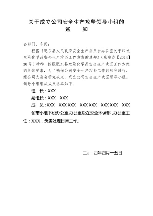 关于成立公司安全生产攻坚领导小组的通知