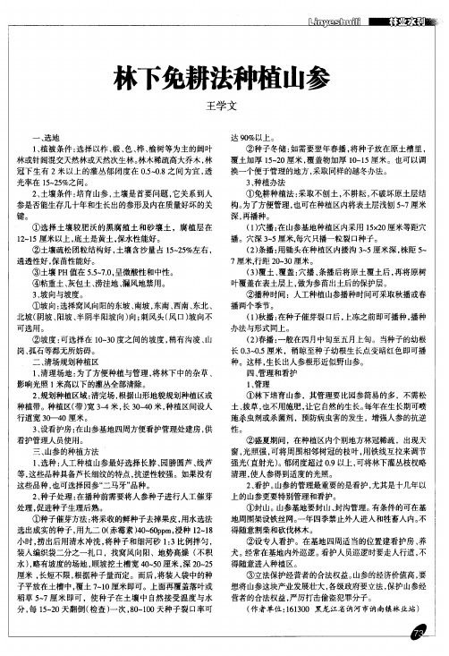 林下免耕法种植山参