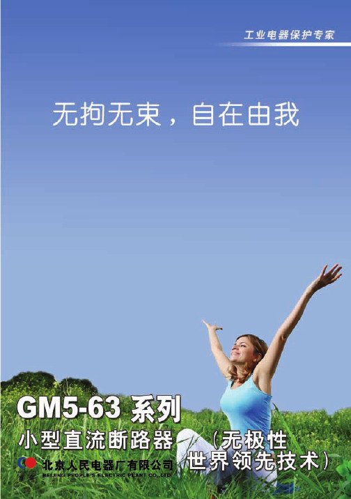 GM5-63系列小型直流断路器