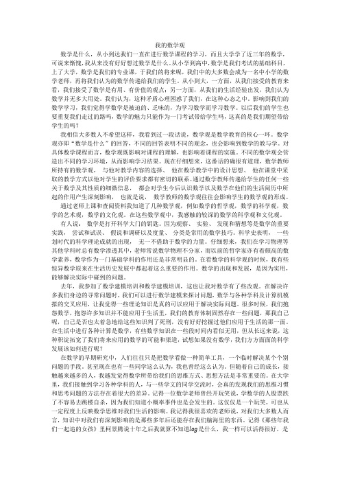 我的数学观