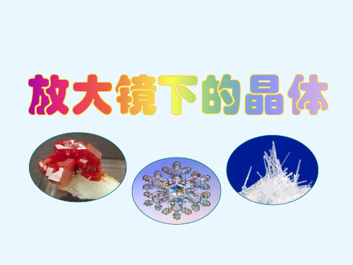 最新教科版六年级下册科学精品课件第一单元3、放大镜下的晶体