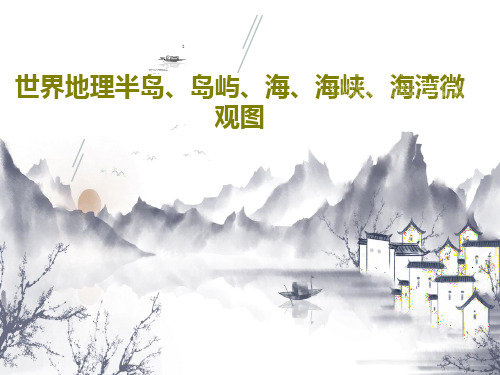 世界地理半岛、岛屿、海、海峡、海湾微观图PPT文档34页