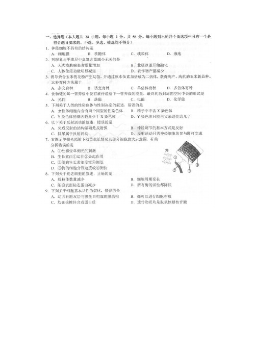 浙江省名校新高考研究联盟(Z20联盟)2019届高三第一次联考生物试题(PDF版)