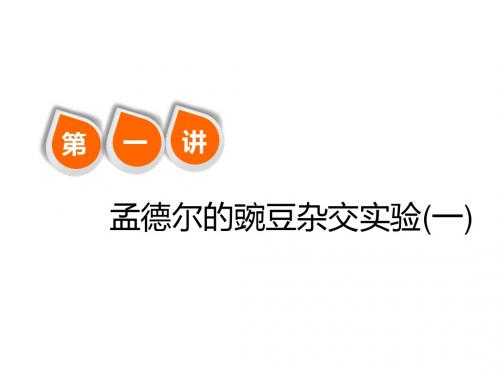高考生物一轮复习第五单元遗传的基本规律与伴性遗传第
