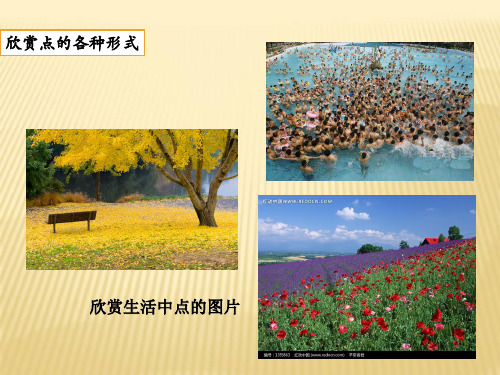 人教版六年级上册美术点的集合课件
