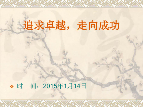 追求卓越走向成功PPT课件