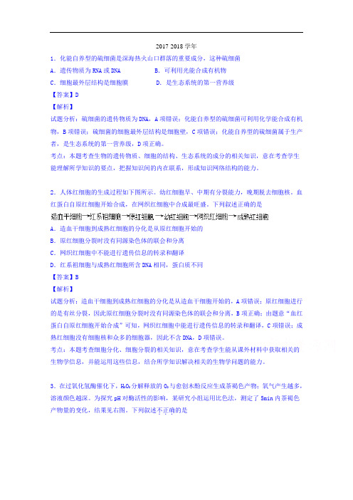北京市西城区2017-2018学年高三二模理综生物试题 Word版含解析