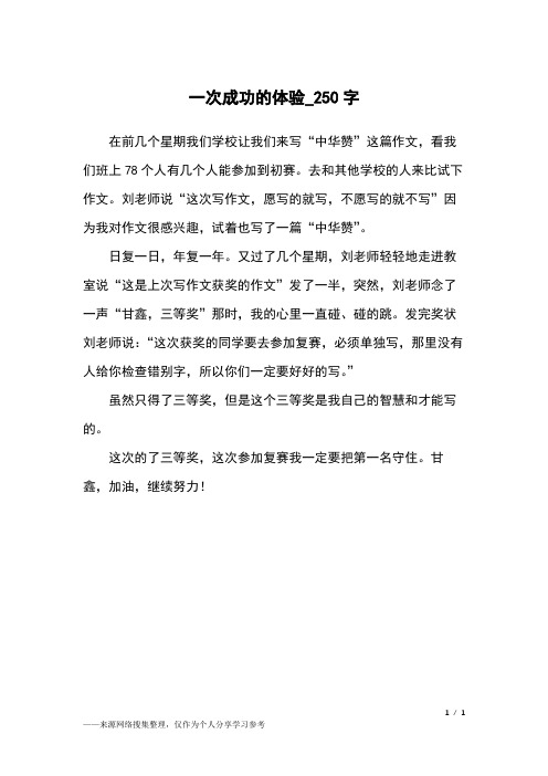 一次成功的体验_250字小学作文